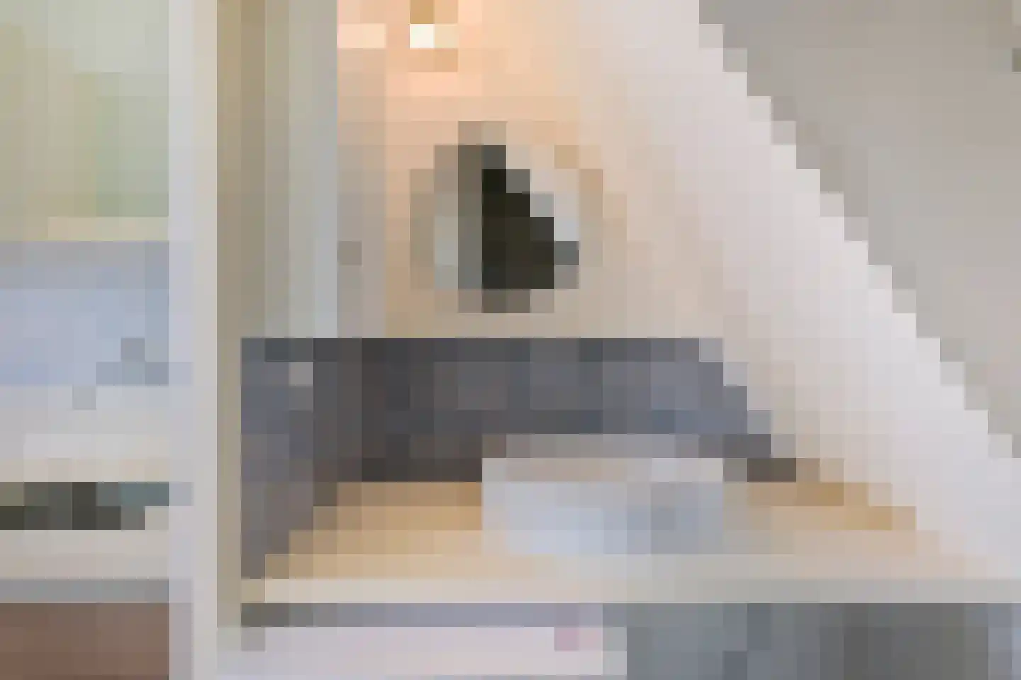 Admiralengracht 64 H Amsterdam thumbnail 28