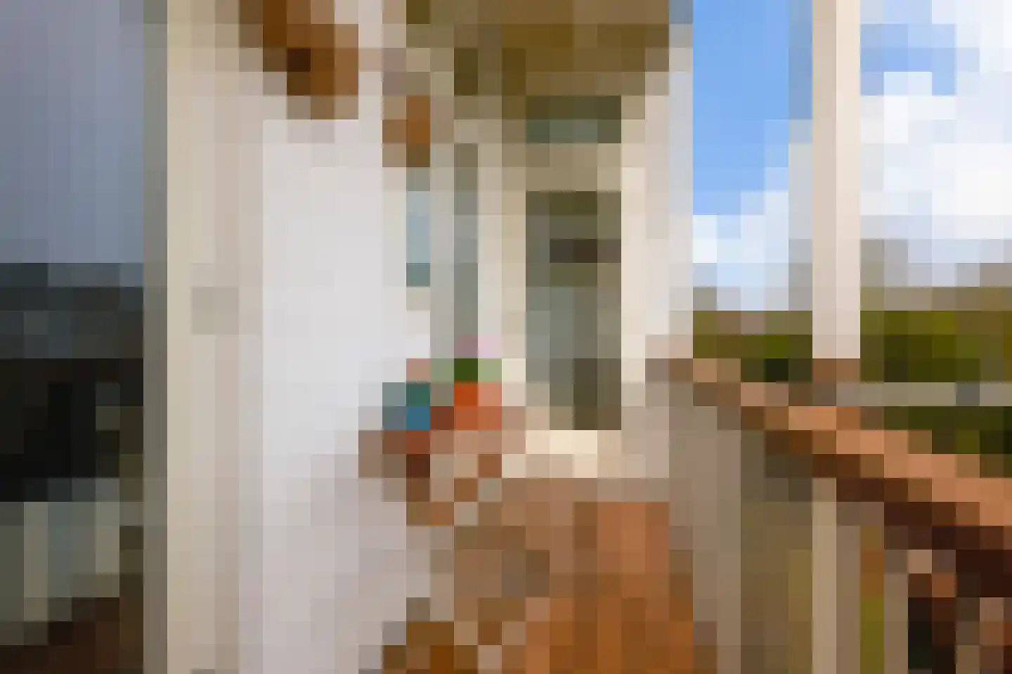Admiralengracht 64 H Amsterdam thumbnail 6