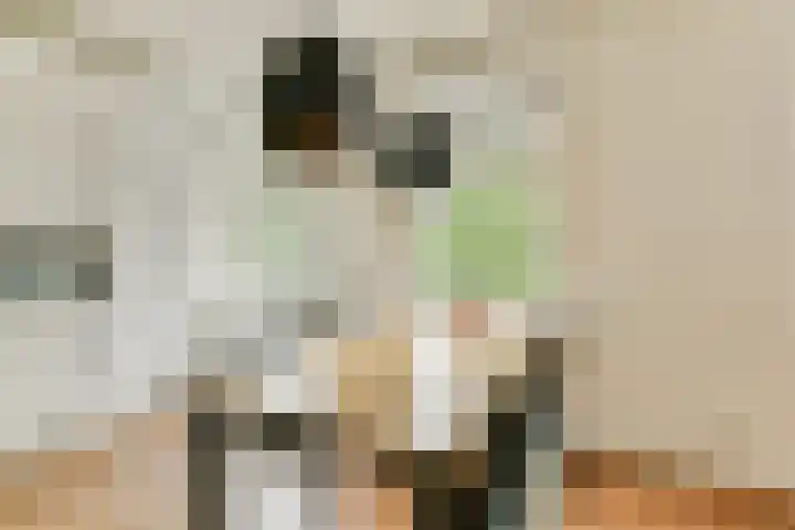 Admiralengracht 71 2 Amsterdam thumbnail 11