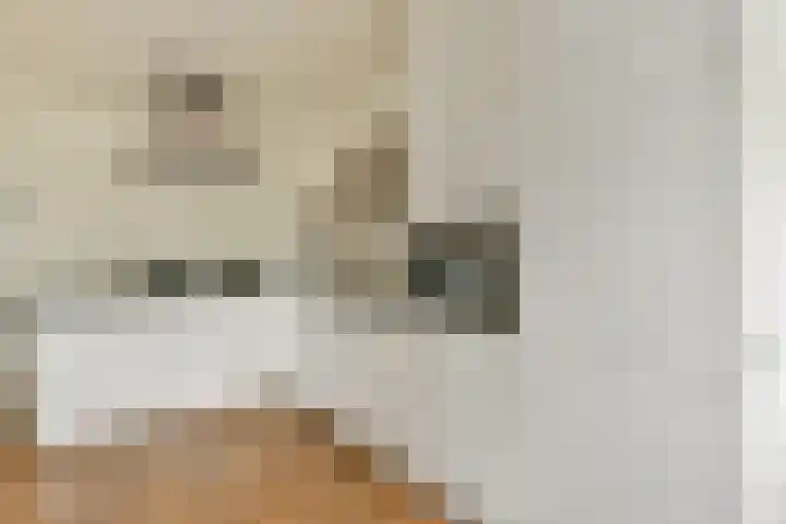 Admiralengracht 71 2 Amsterdam thumbnail 12