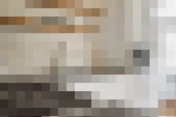 Admiralengracht 71 2 Amsterdam thumbnail 13