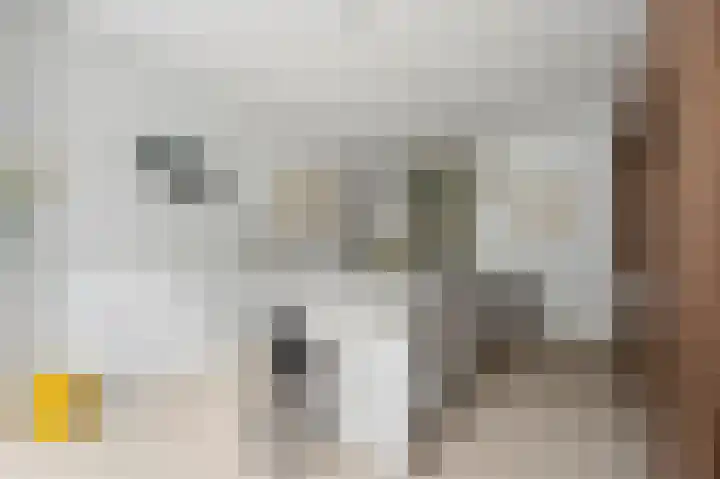 Admiralengracht 71 2 Amsterdam thumbnail 13
