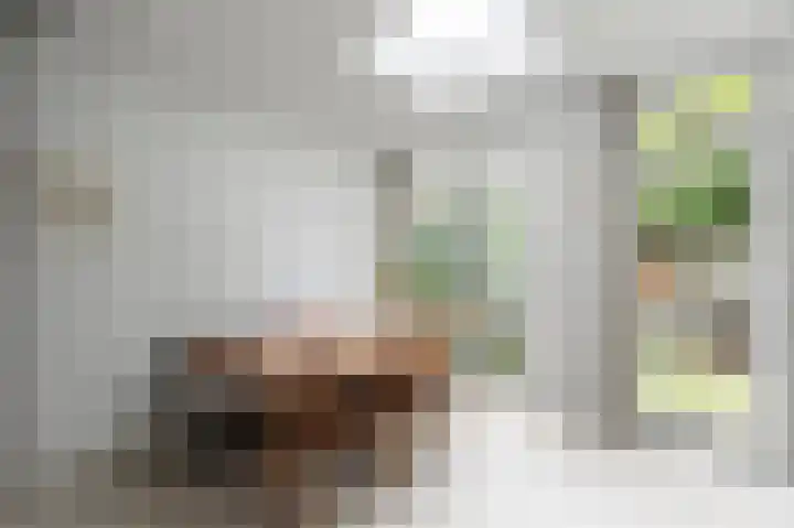 Admiralengracht 71 2 Amsterdam thumbnail 21