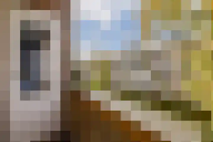 Admiralengracht 71 2 Amsterdam thumbnail 21