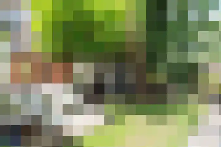 Admiralengracht 71 2 Amsterdam thumbnail 22