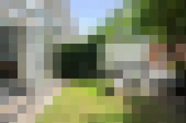 Admiralengracht 71 2 Amsterdam thumbnail 23