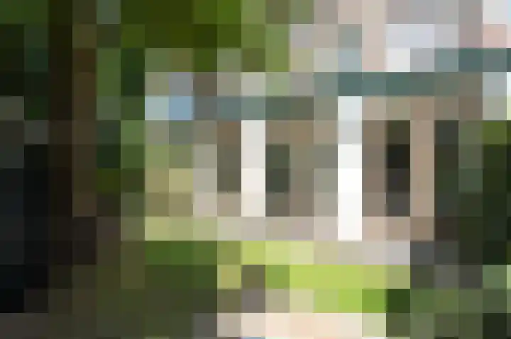 Admiralengracht 71 2 Amsterdam thumbnail 24