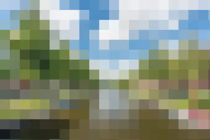Admiralengracht 71 2 Amsterdam thumbnail 26