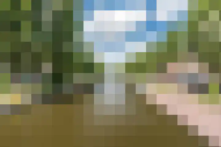 Admiralengracht 71 2 Amsterdam thumbnail 27