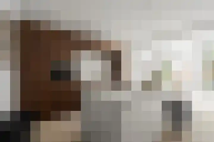 Admiralengracht 71 2 Amsterdam thumbnail 31