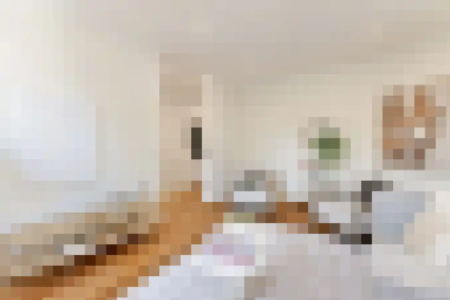 Admiralengracht 79 1 Amsterdam thumbnail 12