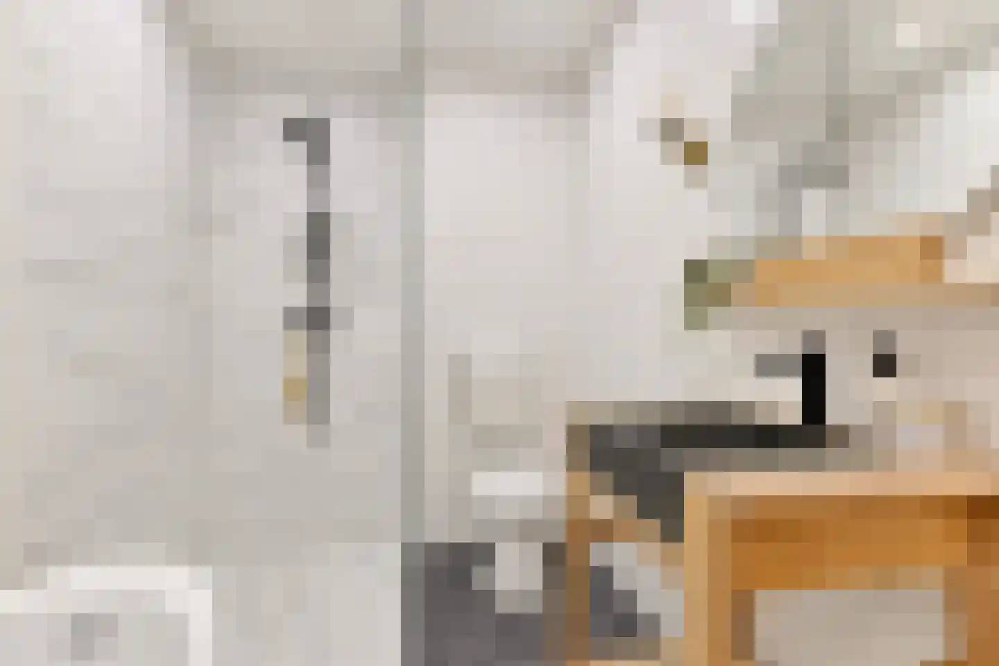 Admiralengracht 79 1 Amsterdam thumbnail 32