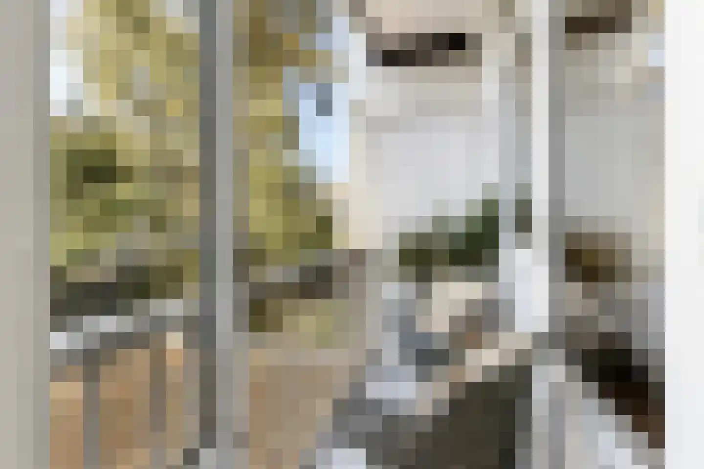 Admiralengracht 79 1 Amsterdam thumbnail 38