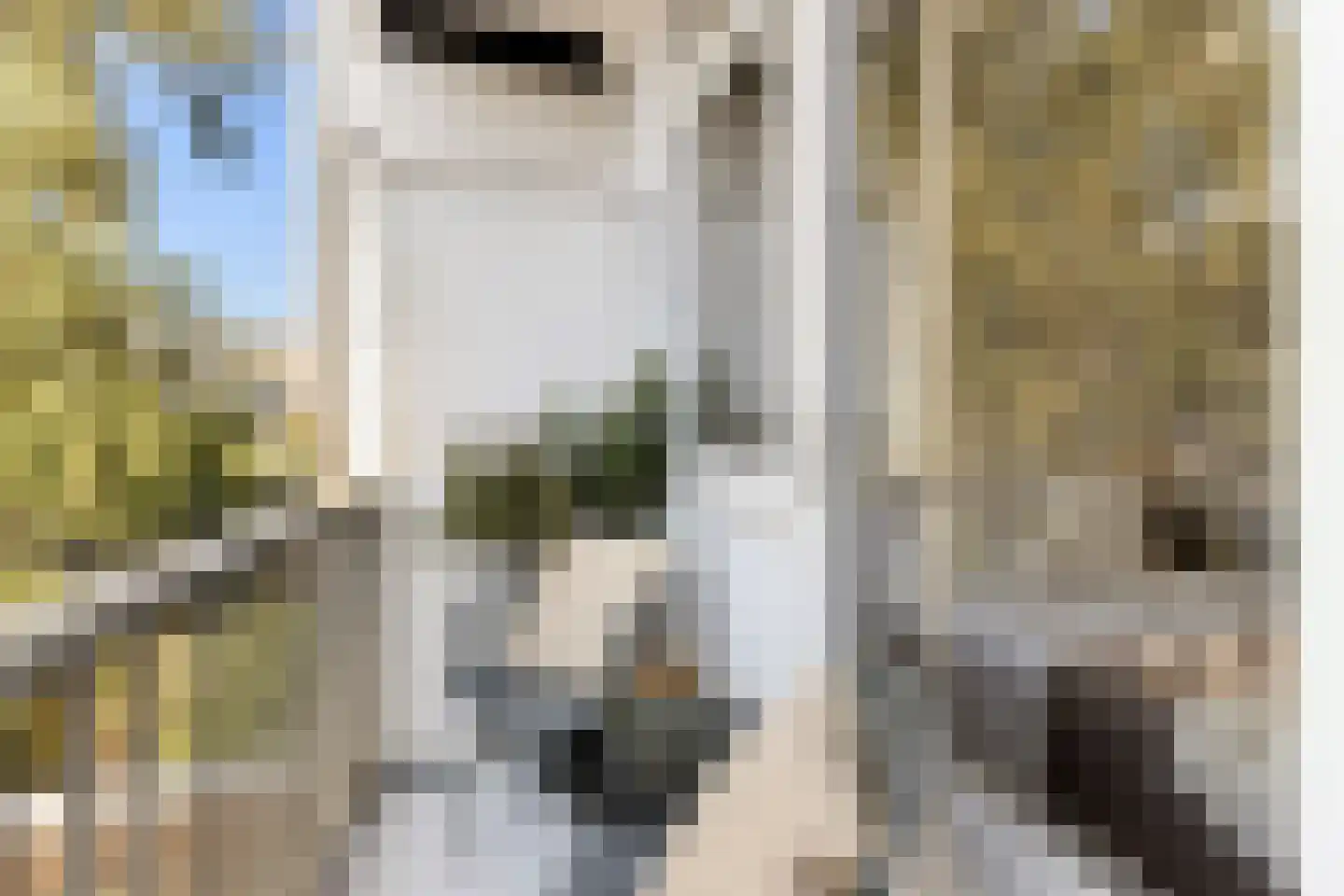 Admiralengracht 79 1 Amsterdam thumbnail 39