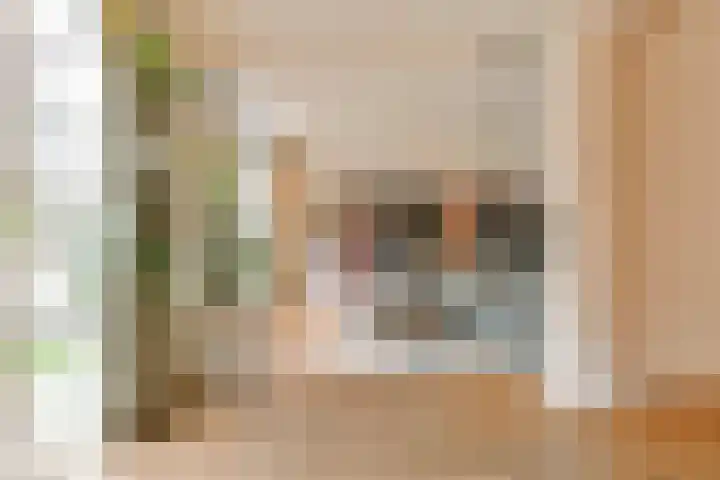 Admiralengracht 79 2 Amsterdam thumbnail 10