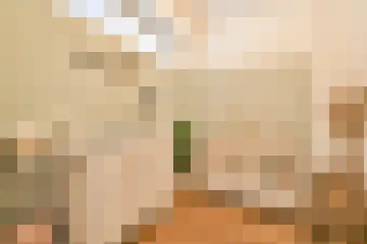Admiralengracht 79 2 Amsterdam thumbnail 14