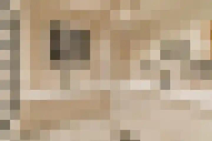 Admiralengracht 79 2 Amsterdam thumbnail 16