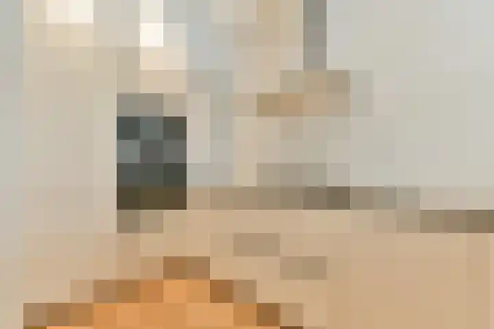 Admiralengracht 79 2 Amsterdam thumbnail 7