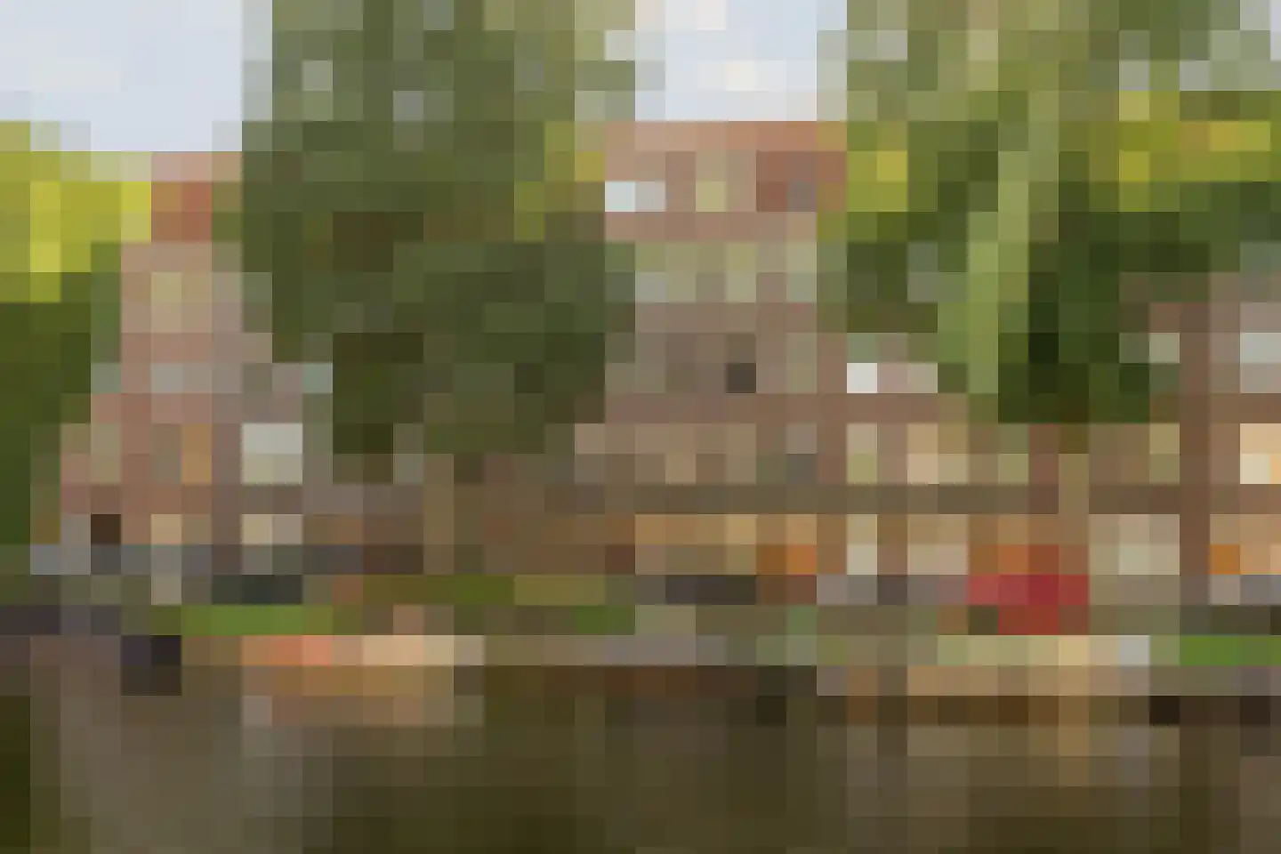 Admiralengracht 87 2 in Amsterdam