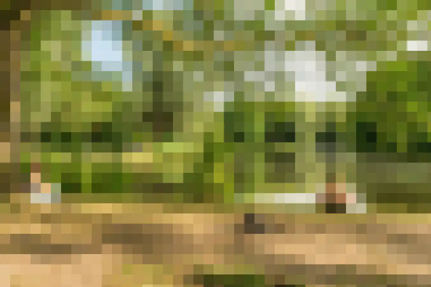 Admiralengracht 87 2 Amsterdam thumbnail 32