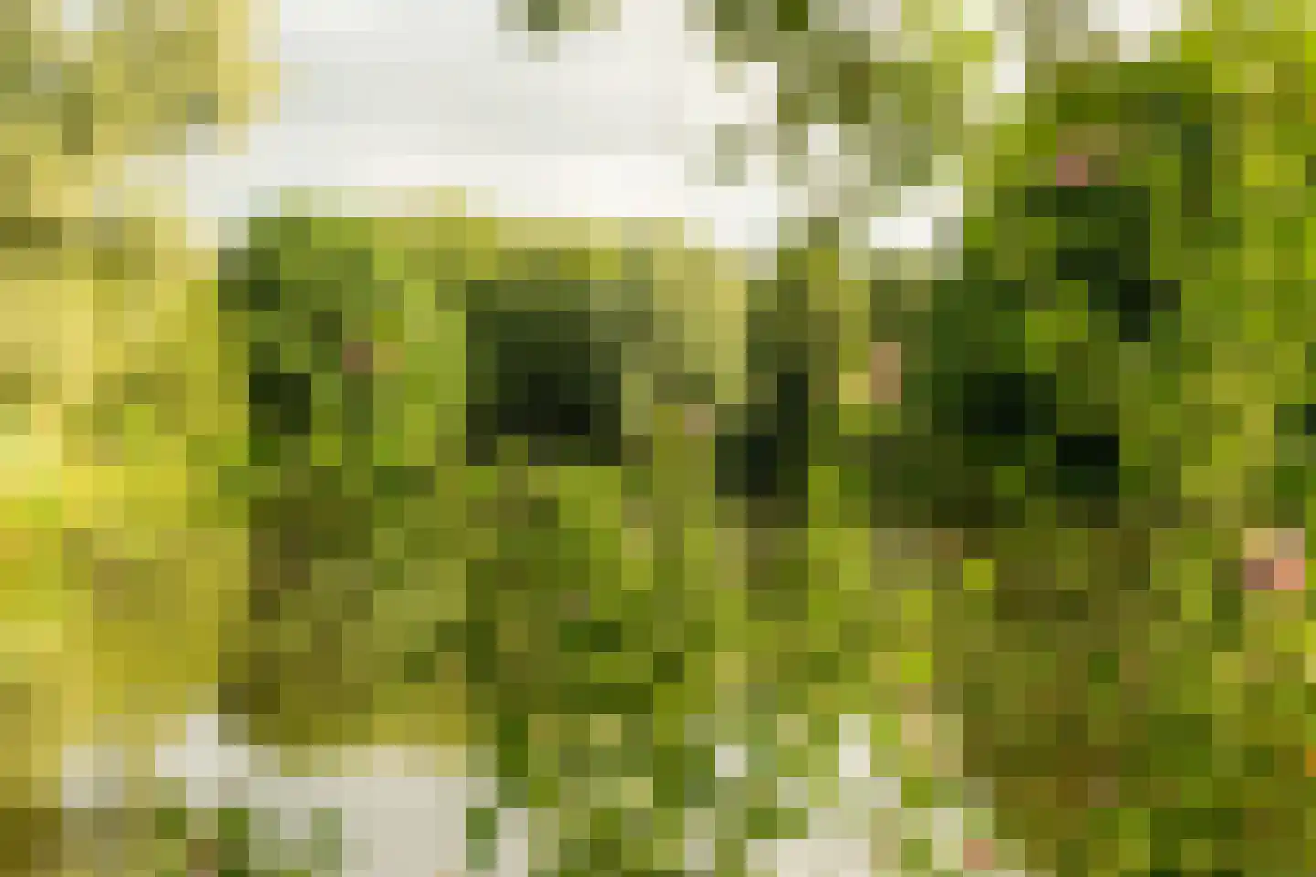 Admiralengracht 87 2 Amsterdam thumbnail 33