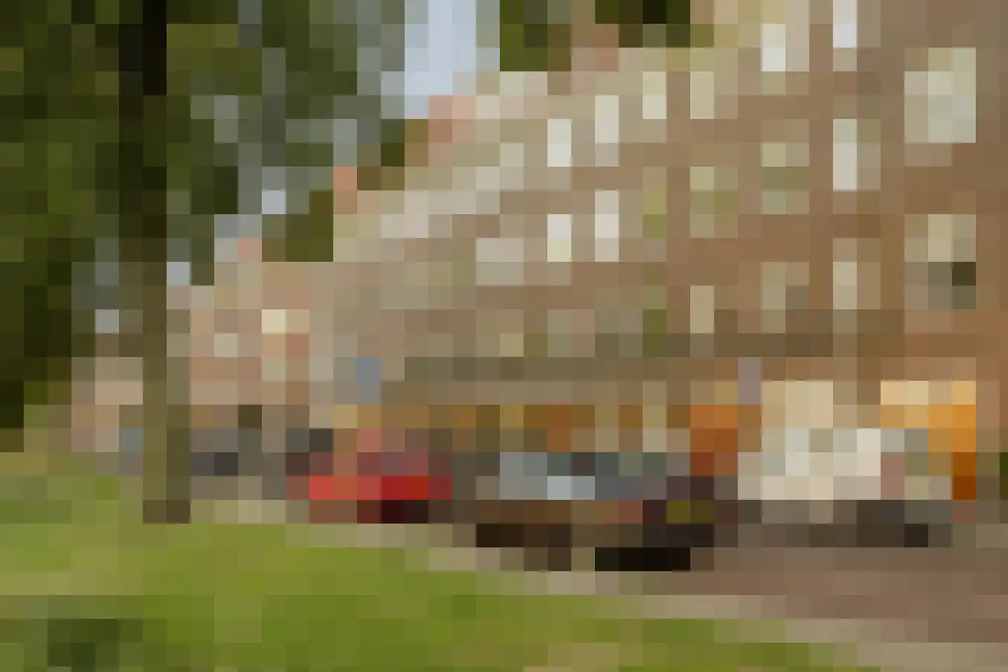 Admiralengracht 87 2 Amsterdam thumbnail 35