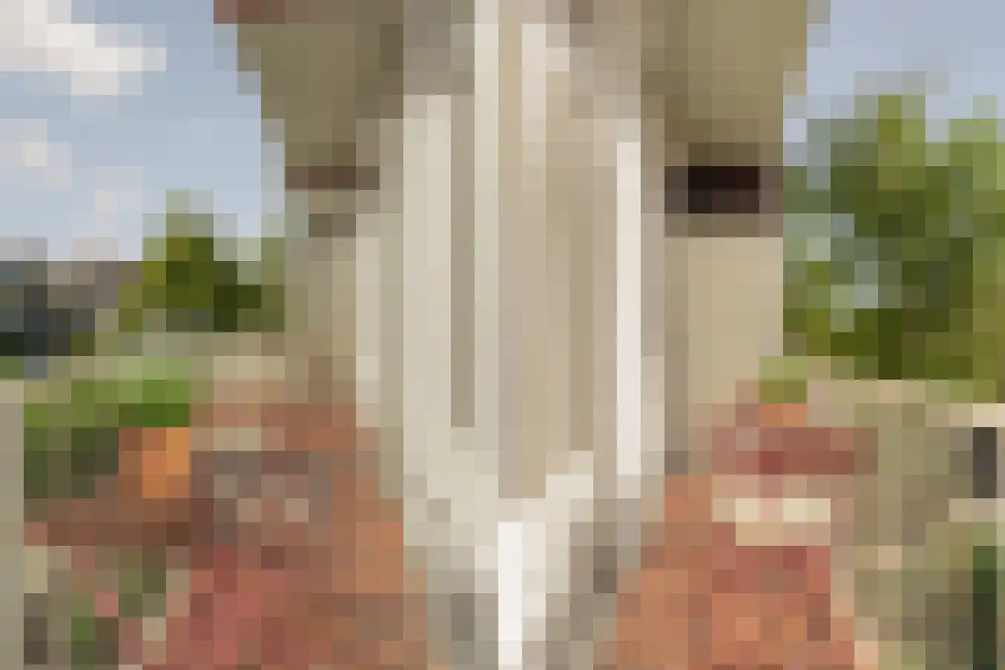 Admiralengracht 87 2 Amsterdam thumbnail 4