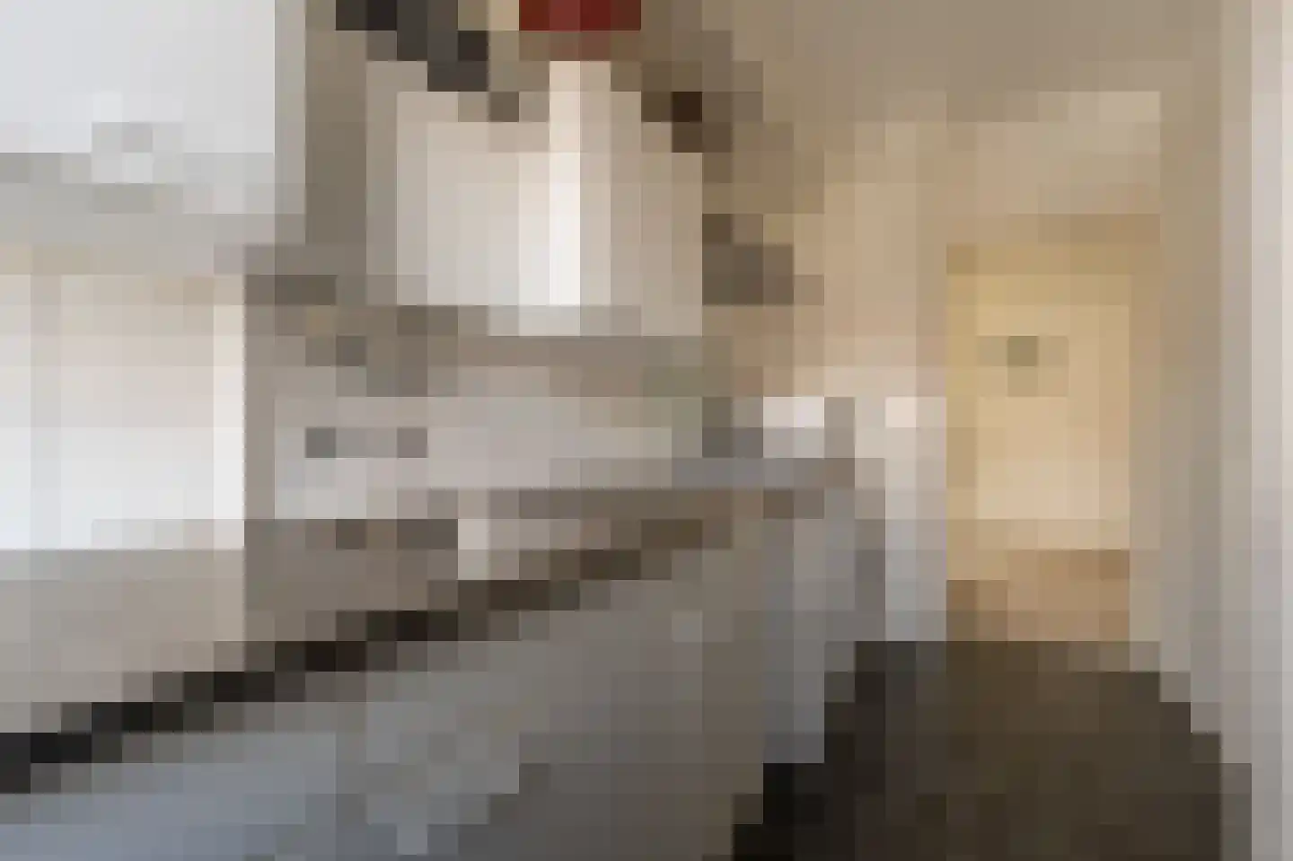 Admiraliteitskade 11 B Rotterdam thumbnail 12
