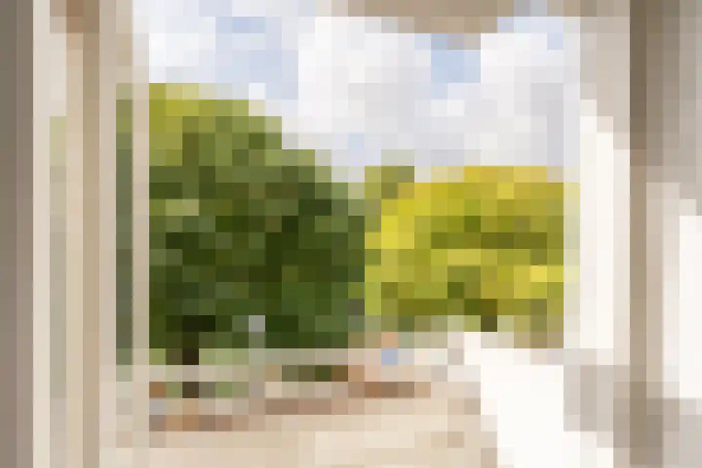 Admiraliteitskade 11 B Rotterdam thumbnail 8