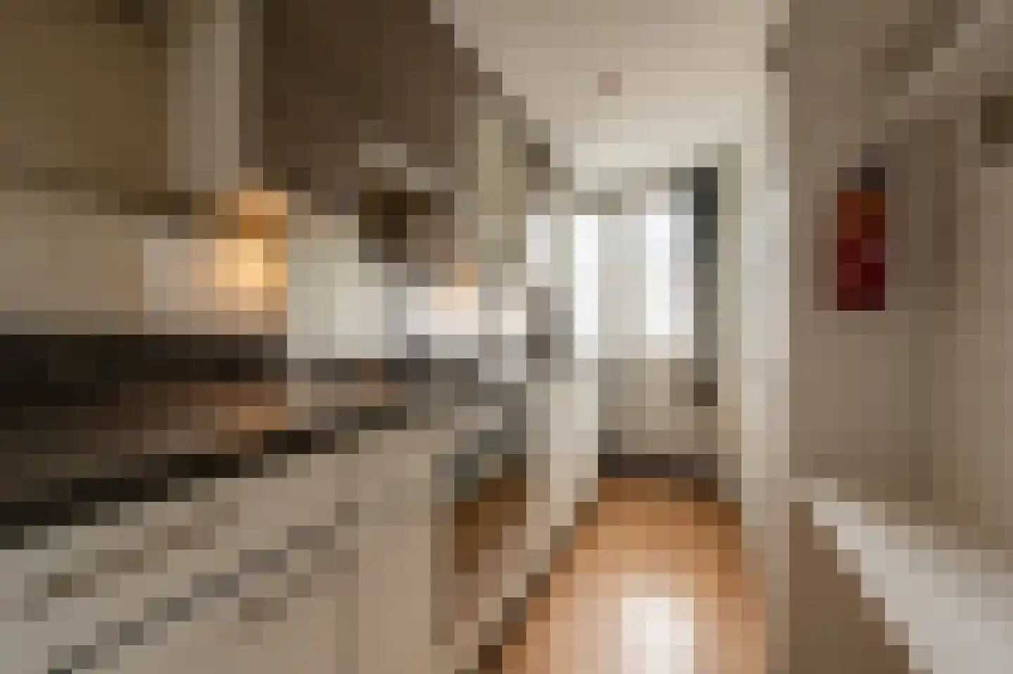 Admiraliteitskade 12 B Rotterdam thumbnail 15
