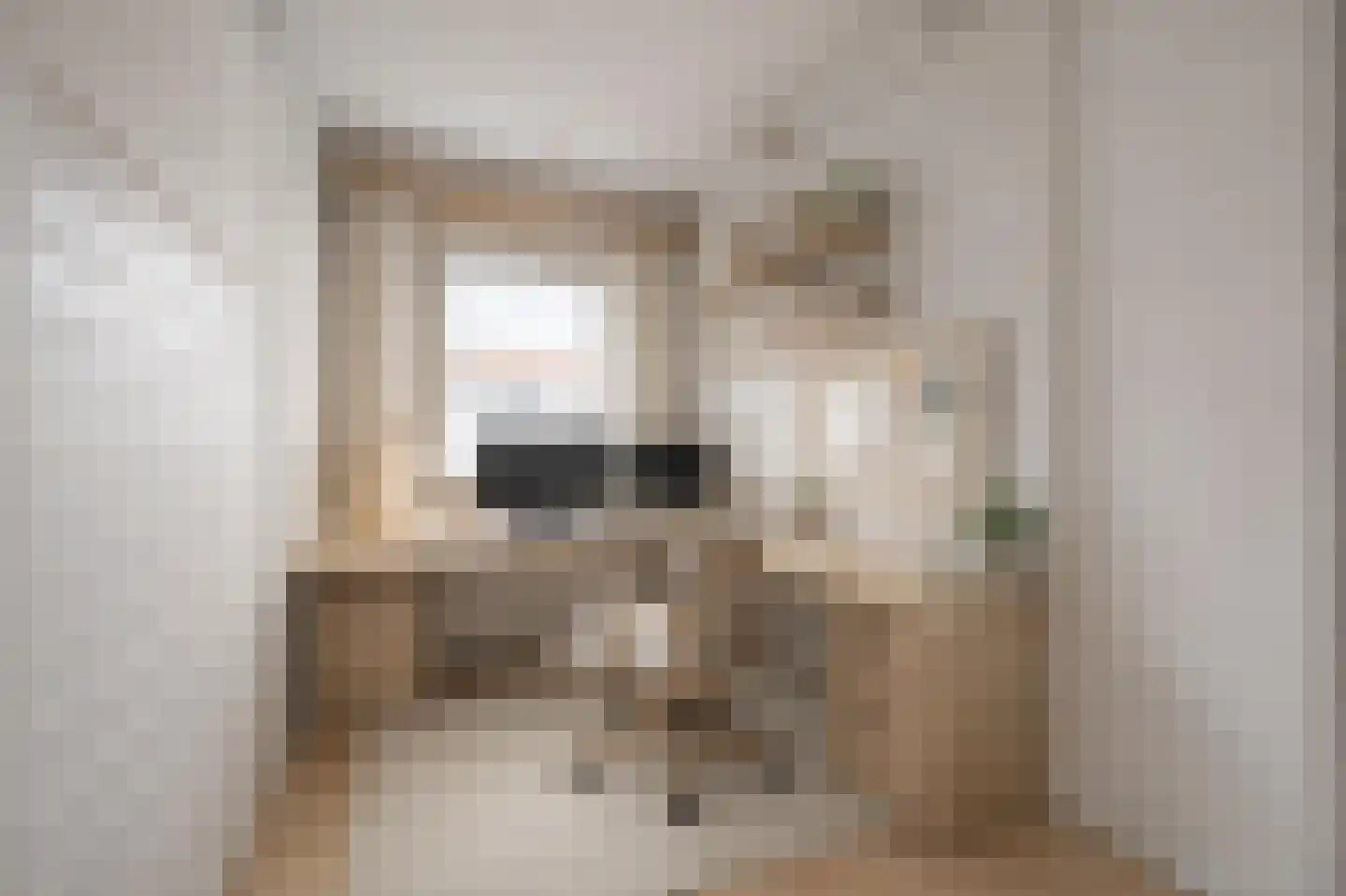 Admiraliteitskade 12 B Rotterdam thumbnail 20