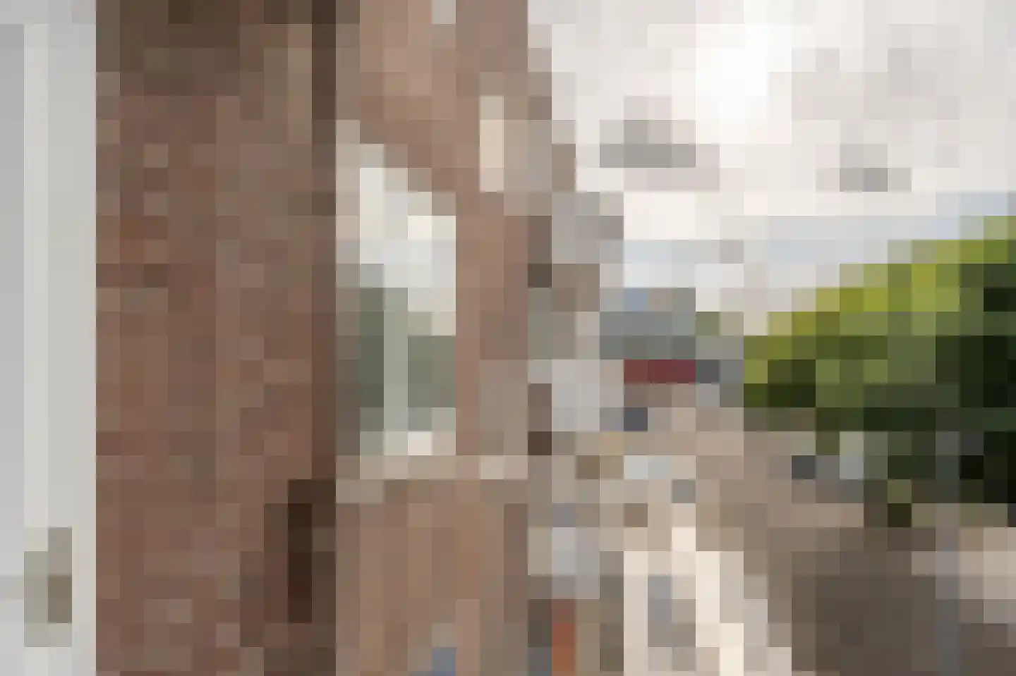 Admiraliteitskade 12 B Rotterdam thumbnail 9