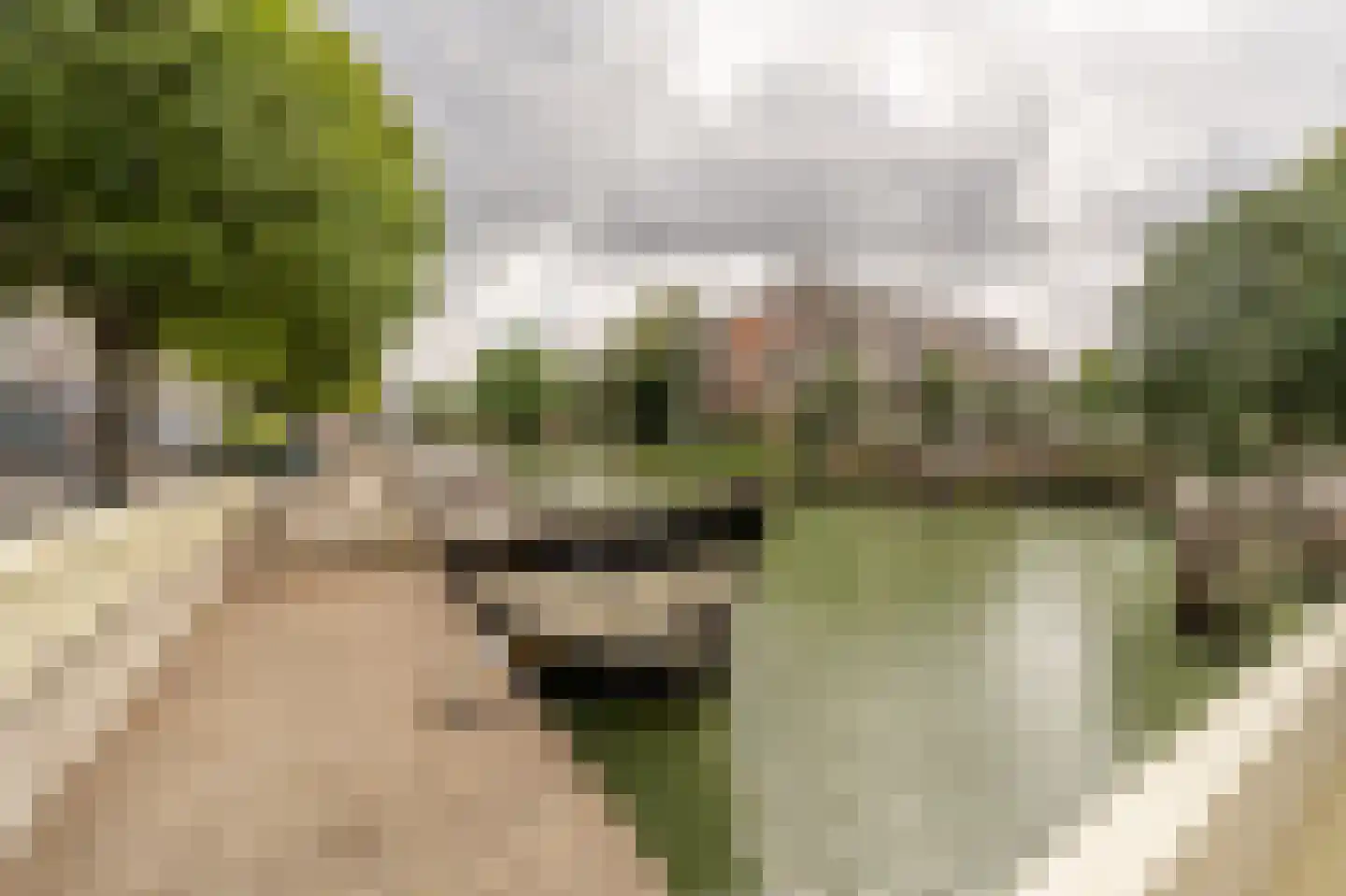 Admiraliteitskade 12 C Rotterdam thumbnail 26
