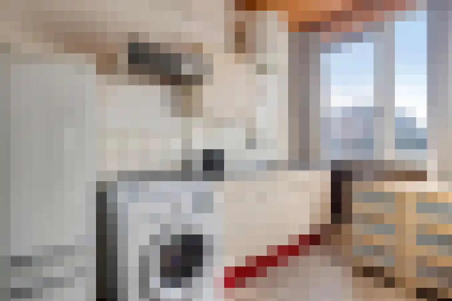 Admiraliteitskade 17 C Rotterdam thumbnail 19