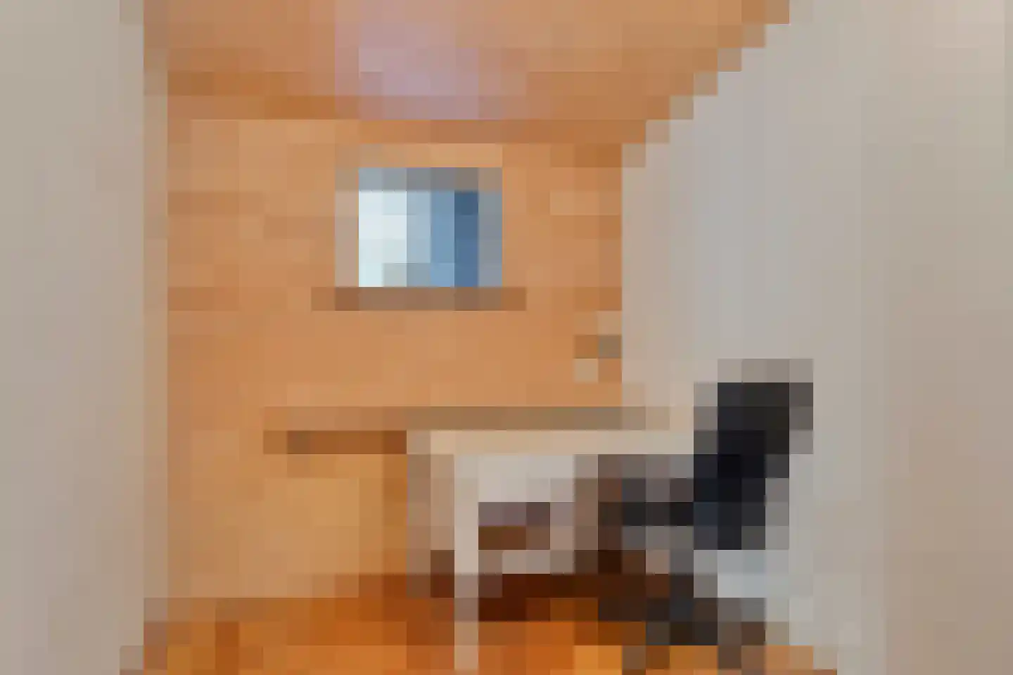 Admiraliteitskade 17 C Rotterdam thumbnail 22