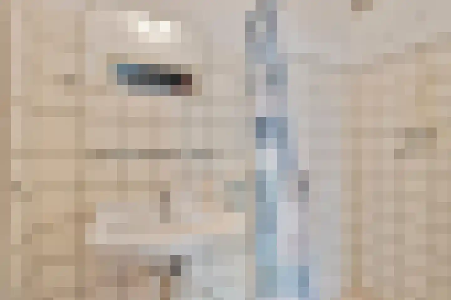 Admiraliteitskade 17 C Rotterdam thumbnail 24