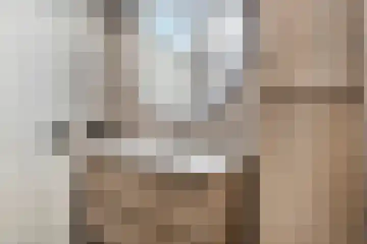 Admiraliteitskade 23 C Rotterdam thumbnail 25