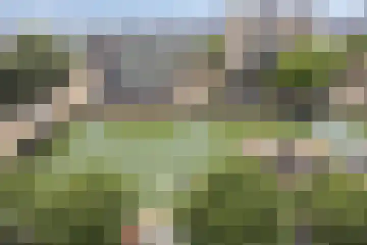 Admiraliteitskade 23 C Rotterdam thumbnail 34
