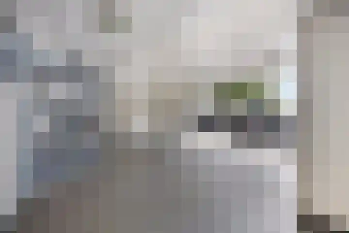 Admiraliteitskade 23 C Rotterdam thumbnail 36