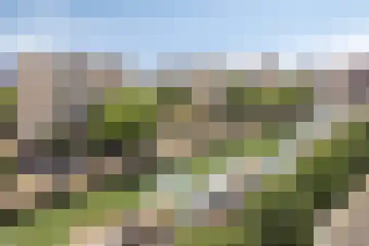 Admiraliteitskade 23 C Rotterdam thumbnail 40