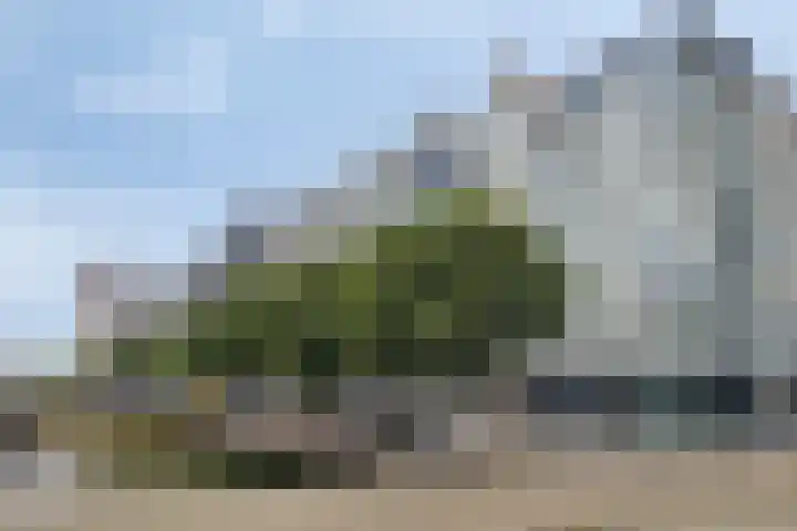 Admiraliteitskade 23 C Rotterdam thumbnail 6