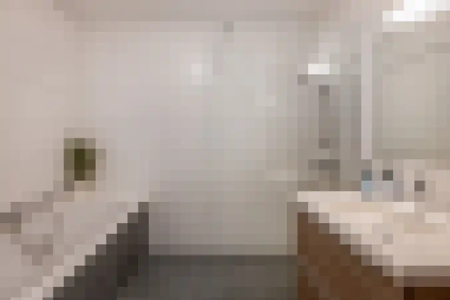 Admiraliteitskade 24 A Rotterdam thumbnail 24