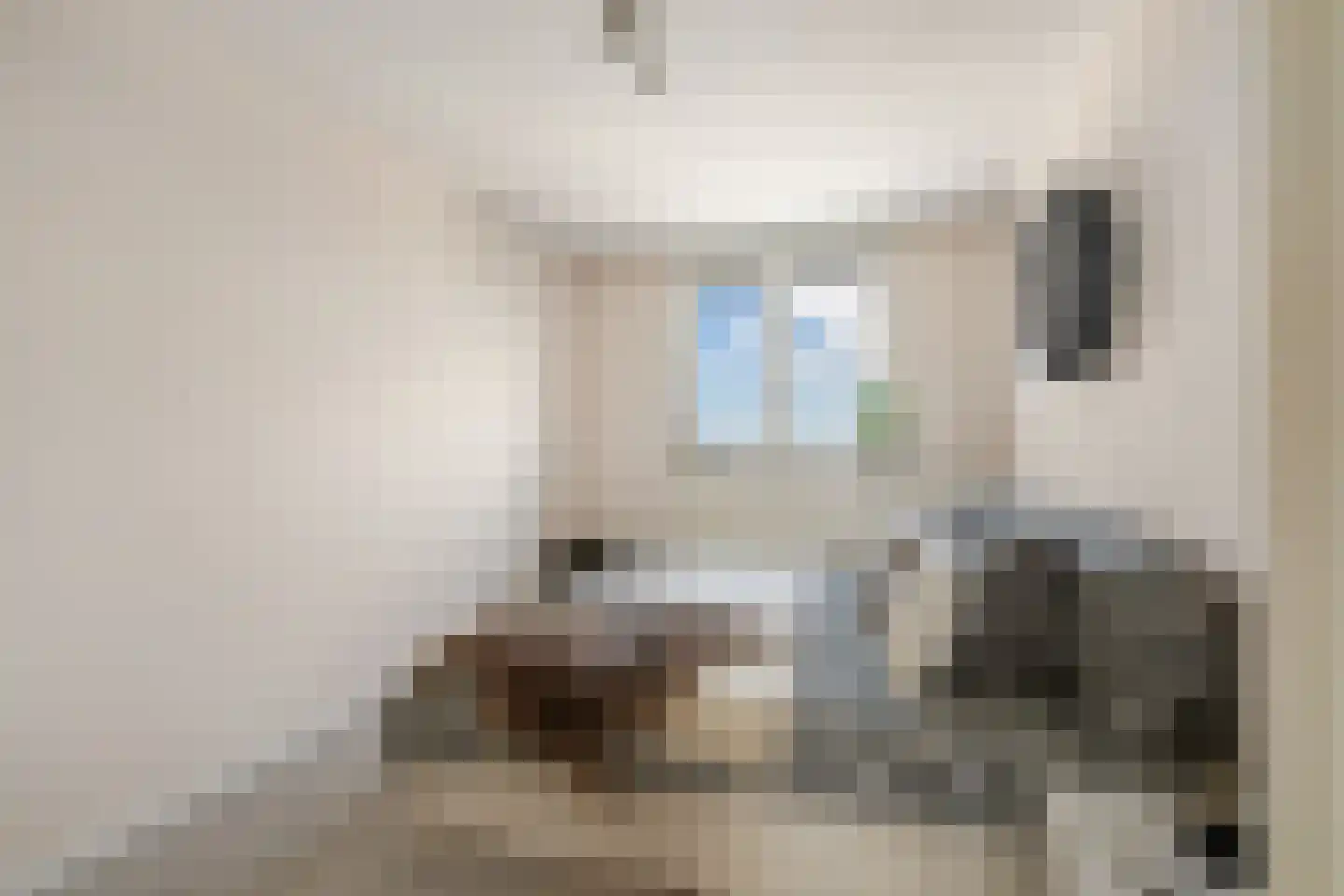 Admiraliteitskade 25 L Rotterdam thumbnail 23