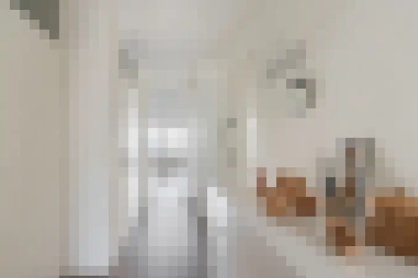 Admiraliteitskade 27 G Rotterdam thumbnail 5