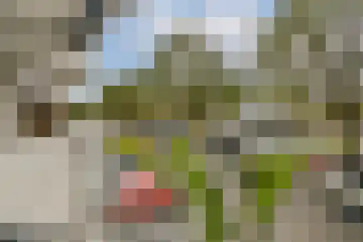 Admiraliteitskade 27 J Rotterdam thumbnail 10