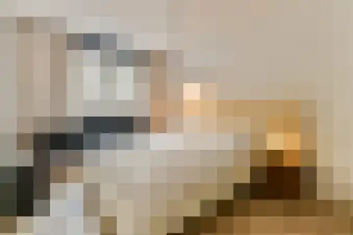 Admiraliteitskade 27 J Rotterdam thumbnail 11