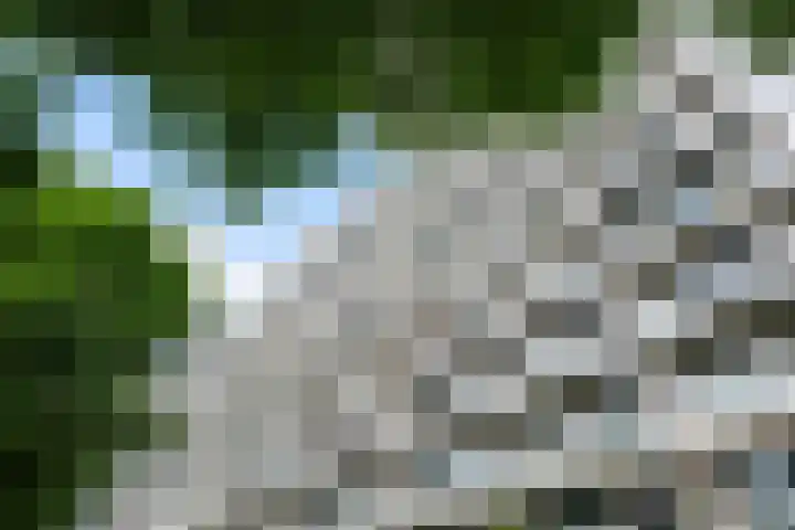 Admiraliteitskade 27 J Rotterdam thumbnail 21