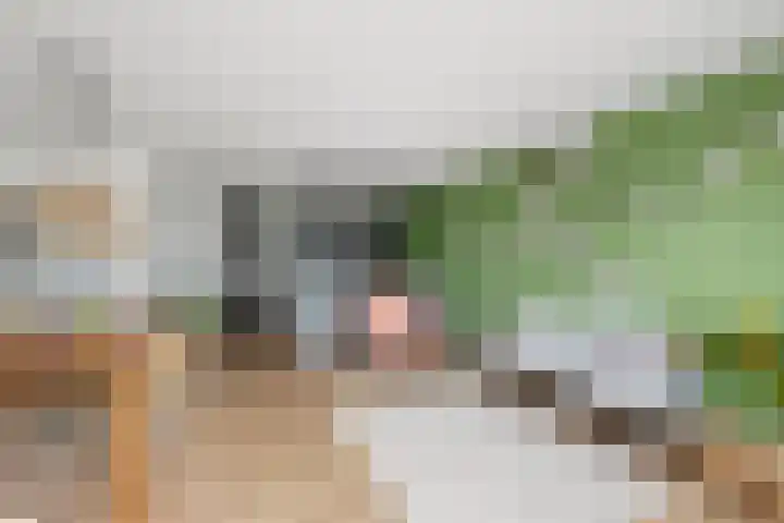 Admiraliteitskade 27 J Rotterdam thumbnail 4
