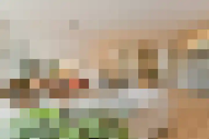 Admiraliteitskade 27 J Rotterdam thumbnail 6