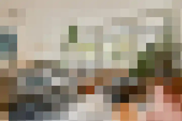 Admiraliteitskade 27 J Rotterdam thumbnail 7